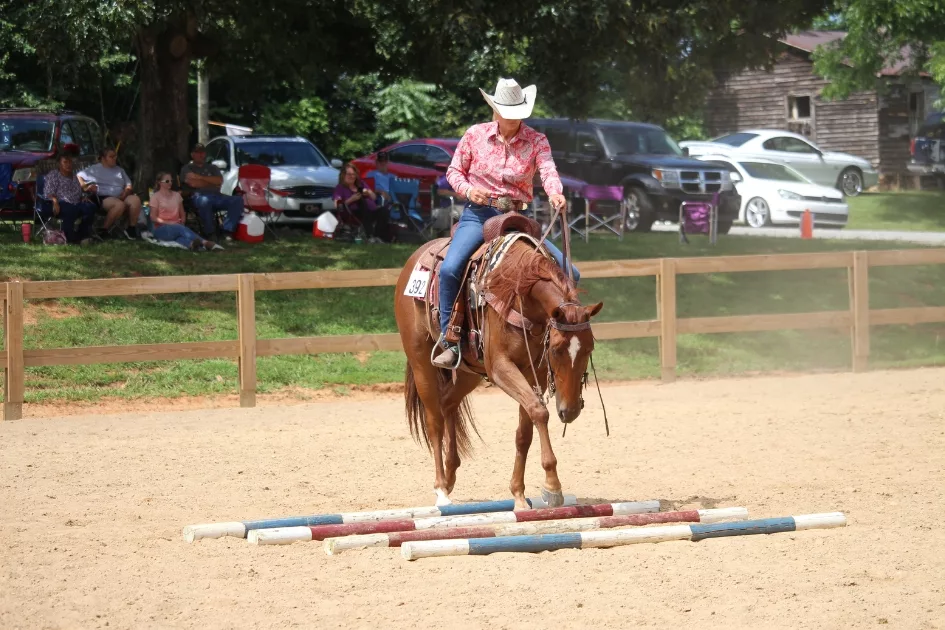 girl riding horse