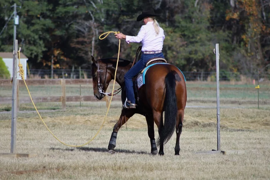 Western rider completing a rope obstacle on horseback