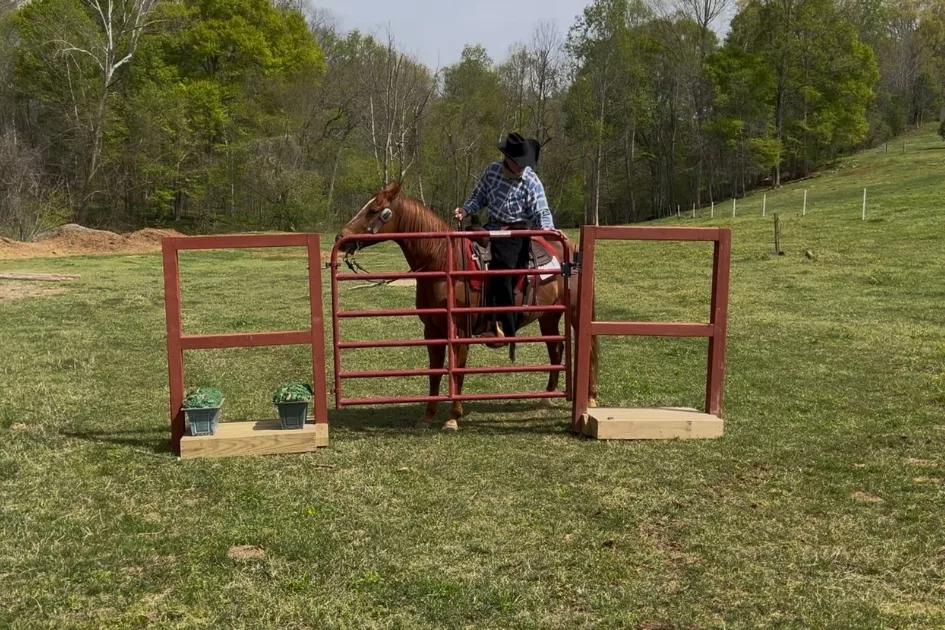 Rider guiding a horse through a gate obstacle